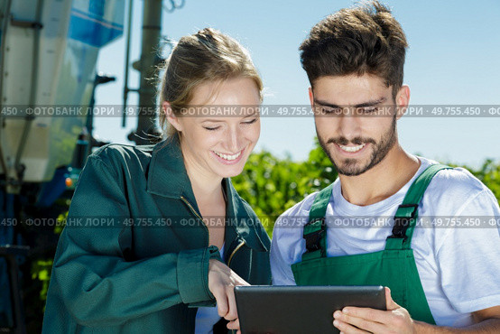 happy man and woman working in a wineyard. Стоковое фото, агентство Ingram Publishing / Фотобанк Лори