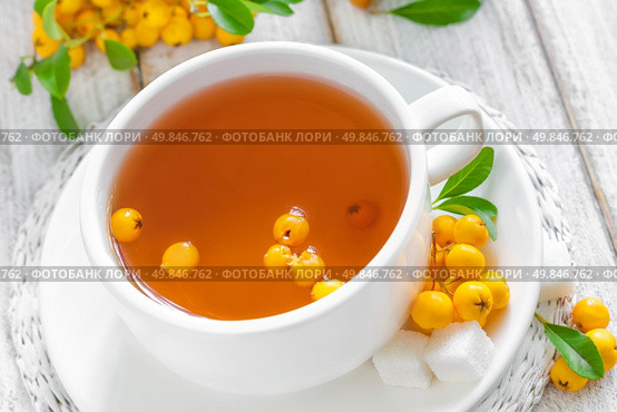 Hawthorn tea. Стоковое фото, агентство Ingram Publishing / Фотобанк Лори