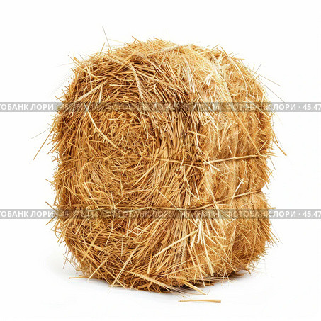 Hay bale standing up isolated on white background. Стоковое AI-изображение, AI-художник Иван Рябоконь / Фотобанк Лори