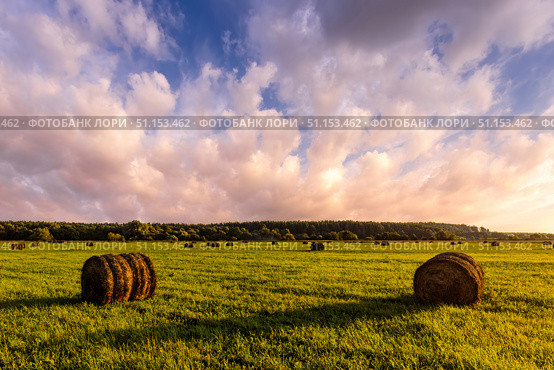 Haystack bale on a golden field landscape at sunset. Rural agricultural scene with bales of hay. Countryside harvest concept. Стоковое фото, фотограф Емельянов Евгений Викторович / Фотобанк Лори