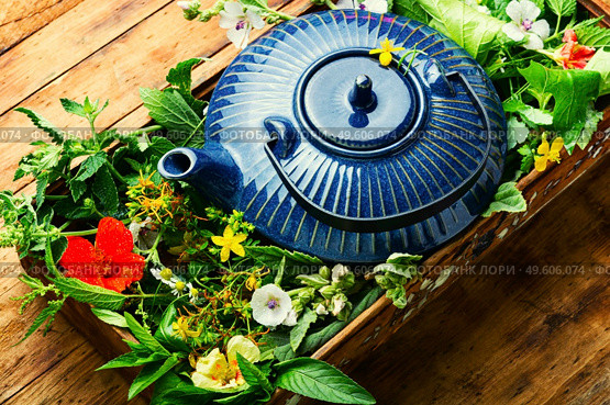 Healing herbal tea. Teapot with tea made from fresh wild herbs. Herbal medicine. Herbal tea.. Teapot with fresh medicinal herbs. Стоковое фото, агентство Ingram Publishing / Фотобанк Лори