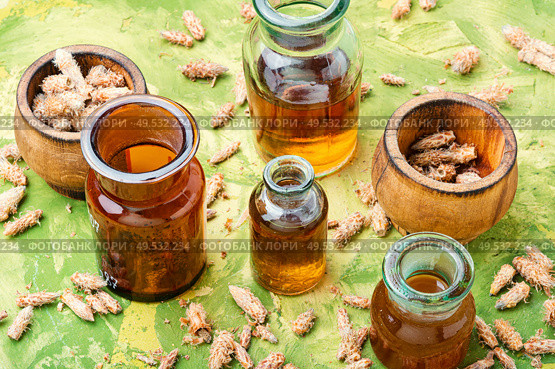 Healing tincture from pine kidneys.Medicinal tincture for colds.Herbal medicine. Bottles of tincture of pine buds. Стоковое фото, агентство Ingram Publishing / Фотобанк Лори