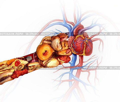 Heart attack and diet or coronary disease risk symbol as a bad nutrition concept with a cardiovascular organ punched by greasy high salt unhealthy fast food shaped as a fist with 3D illustration elements. Стоковое фото, агентство Ingram Publishing / Фотобанк Лори