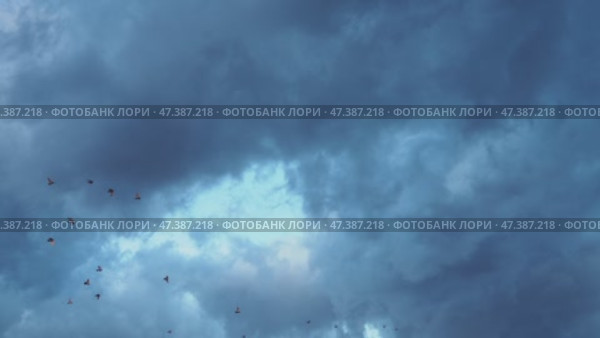 Heavy clouds fill the sky, signaling an impending storm. The atmospheric change creates a dramatic backdrop as daylight wanes, hinting at rain on the horizon. Time lapse. Стоковое видео, видеограф Юлия Петровская / Фотобанк Лори