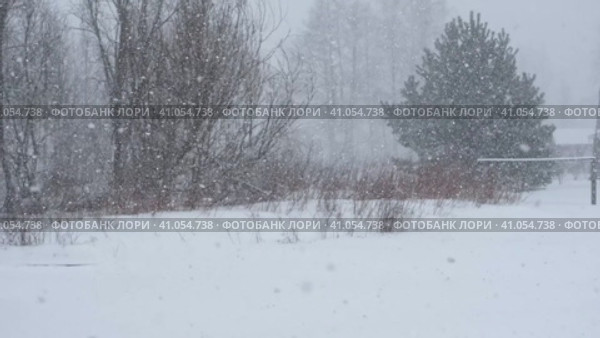 Heavy snowfall. Beautiful forest landscape of snow and blurred trees. Gently falling snow flakes. Bad snowy weather cold day. Winter nature background. Nobody, No People, Super Slow motion. Snowstorm. Стоковое видео, видеограф Марина Демидюк / Фотобанк Лори