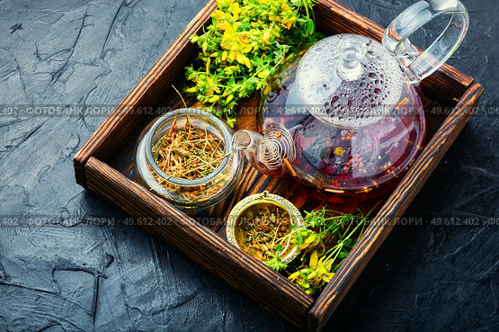 Herbal tea in teapot.Herbal tea.Herbal drink.Hypericum flowers.Herbal medicine and homeopathy. Hypericum in herbal medicine. Стоковое фото, агентство Ingram Publishing / Фотобанк Лори