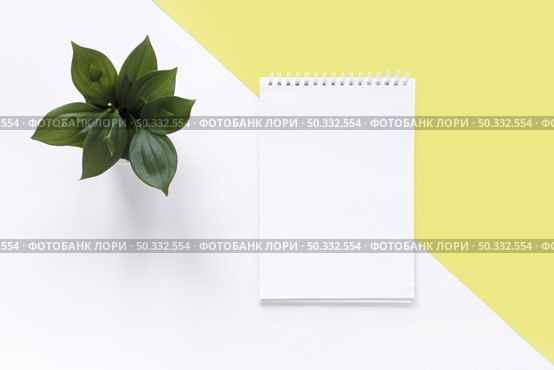 high angle view spiral notepad plant dual white yellow backdrop. High resolution photo. high angle view spiral notepad plant dual white yellow backdrop. High quality photo. Стоковое фото, агентство Ingram Publishing / Фотобанк Лори