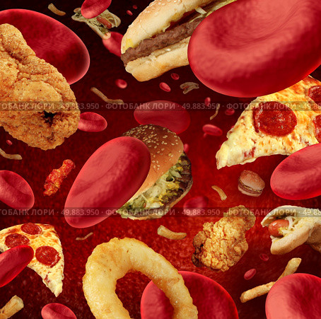 High cholesterol medical concept with a human blood vessel or blocked artery that is clogged by unhealthy food as hamburgers and fried foods as a health risk or dieting and nutrition problems as eating fat. Стоковое фото, агентство Ingram Publishing / Фотобанк Лори