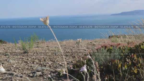 Hiking to the ancient Karadag volcano with children Crimea. Стоковое видео, видеограф German Zvyagin / Фотобанк Лори