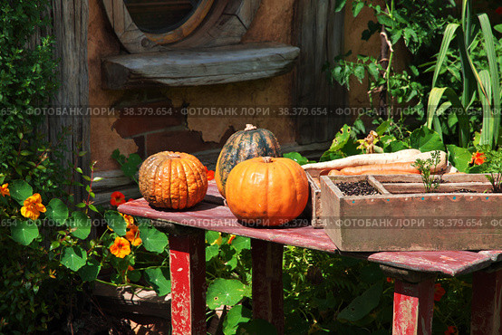 Hobbiton, New Zealand - 15 Dec 2018. Hobbiton is theme Park in New Zealand. Редакционное фото, фотограф Сергей Стрелков / Фотобанк Лори