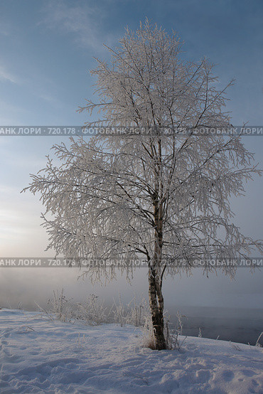 Холодный берег. Стоковое фото, фотограф Юрков Виктор Петрович / Фотобанк Лори