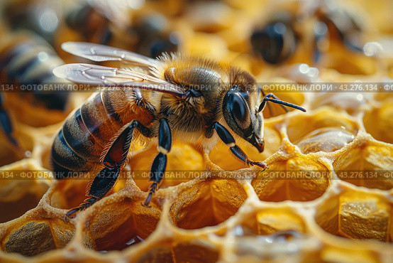 Honey Bee (Apis mellifera) pollinating apple blossoms. A bee collecting pollen and nectar from flower. Macro shot with selective focus. Стоковое AI-изображение, AI-художник Ирина Михайличенко / Фотобанк Лори