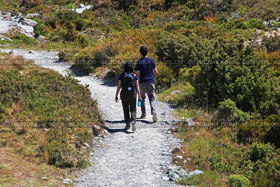 Hooker valley, New Zealand - 26 Dec 2018: Trekking in Hooker valley, New Zealand. Редакционное фото, фотограф Сергей Стрелков / Фотобанк Лори