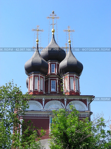 Храм Ризоположения на Донской. Донская улица, 20/6, строение 1. Москва (2011 год). Стоковое фото, фотограф lana1501 / Фотобанк Лори