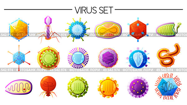 Human viruses varieties colorful icons set with smallpox different types flu measles polio ebola isolated vector illustration. Стоковая иллюстрация, агентство Ingram Publishing / Фотобанк Лори