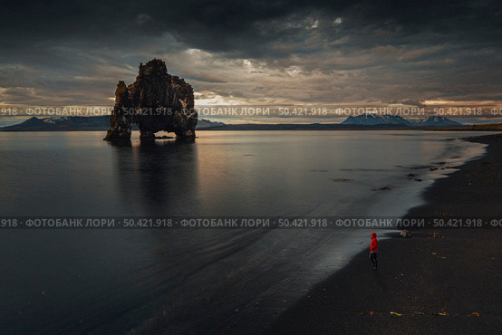 Hvitserkur rock formation with the shape of a Elephant, Iceland. Стоковое фото, агентство Ingram Publishing / Фотобанк Лори