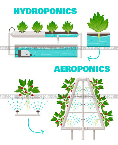 Hydroponics and aeroponics concept with watering and fast growth symbols cartoon vector illustration. Стоковая иллюстрация, агентство Ingram Publishing / Фотобанк Лори