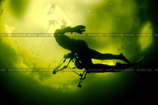 Ice free diving in Arctic, Russia, Russian north, north, Kareliya, White sea. Стоковое фото, фотограф Некрасов Андрей / Фотобанк Лори