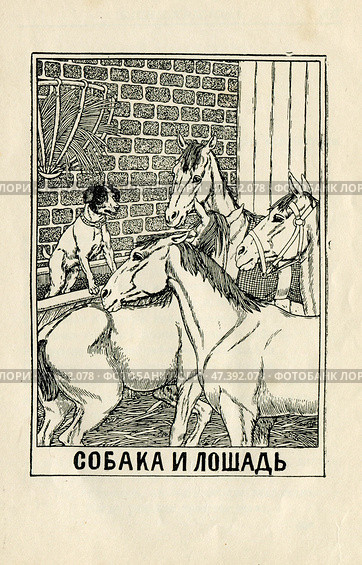 Иллюстрация к басням Крылова "Собака и лощадь" 1902 год. Редакционная иллюстрация, иллюстратор Станислав Кноп / Фотобанк Лори