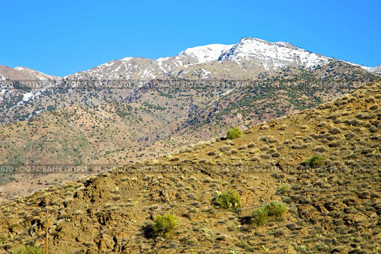 in ground africa morocco the bush  dry atlas mountain. Стоковое фото, агентство Ingram Publishing / Фотобанк Лори