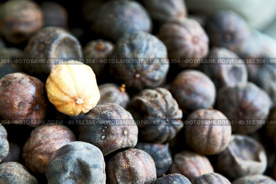 in iran blur  typical dry lemon in abstract pattern background flavor and aroma. Стоковое фото, агентство Ingram Publishing / Фотобанк Лори