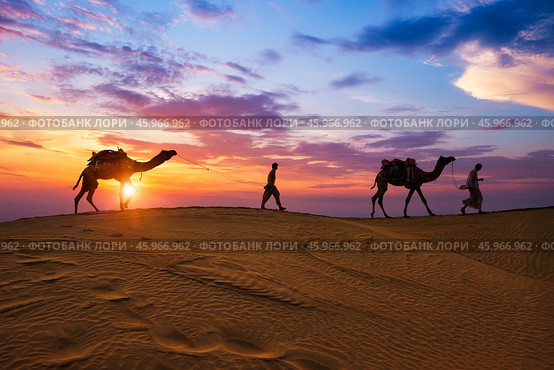 Indian cameleers camel drivers camel silhouettes in dunes on sunset. Jaisalmer, Rajasthan, India (2019 год). Стоковое фото, фотограф Дмитрий Рухленко / Фотобанк Лори