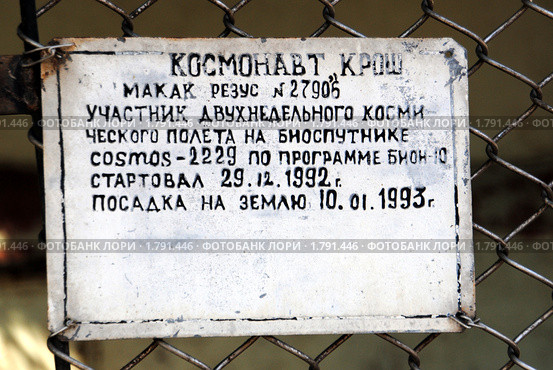 Информационная табличка на вольере обезьяны-космонавта Кроша в обезьяньем питомнике Сочи. Стоковое фото, фотограф Анна Мартынова / Фотобанк Лори