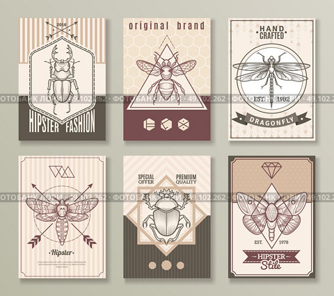 Insects Hipster Cards Set. Insects hipster cards set with dragonfly and beetles flat isolated vector illustration . Стоковая иллюстрация, агентство Ingram Publishing / Фотобанк Лори