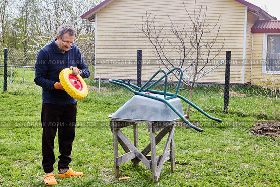 Inspecting replacement wheel before beginning mounting process to ensure proper fit and functionality for garden wheelbarrow repair outdoors. Стоковое фото, фотограф Владимир Григорьев / Фотобанк Лори