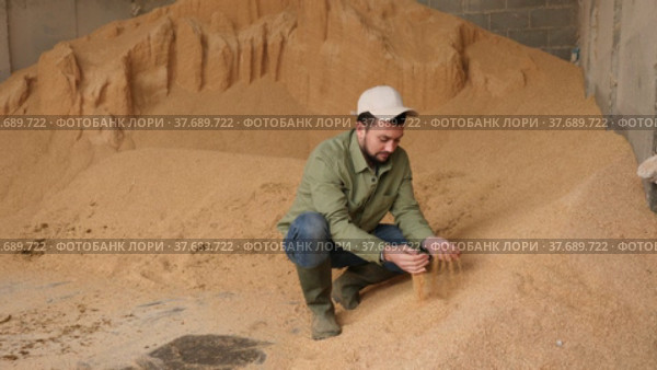Interested young bearded farmer crouched near large pile of grinded soybean hulls for livestock feeding, checking quality of fodder. Стоковое видео, видеограф Яков Филимонов / Фотобанк Лори