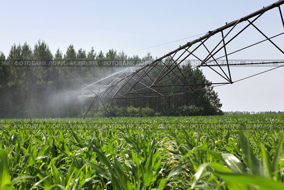 Irrigation system in a field. Стоковое фото, агентство Ingram Publishing / Фотобанк Лори