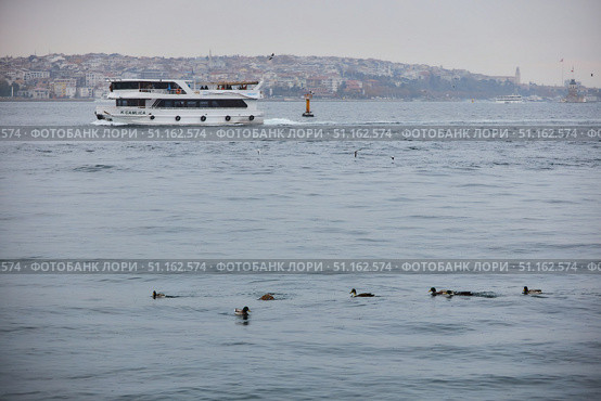 ISTANBUL, TURKEY - NOVEMBER 23, 2021: Bosphorus Strait and Ducks. In the background there are pleasure boats for tourists. Редакционное фото, фотограф Наталия Кирсанова / Фотобанк Лори