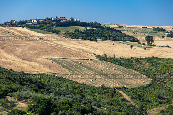 Италия. Апулья. Холмы с полями, покрытыми соломой и рулонами сена. Italy. Apulia. Hills with fields covered in straw and hay bales. Стоковое фото, фотограф Алексей Смышляев / Фотобанк Лори