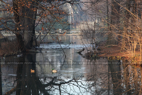 Италия. Милан. Парк Семпионе в Милане (Parco Sempione) (2019 год). Стоковое фото, фотограф Ерохин Дмитрий Викторович / Фотобанк Лори