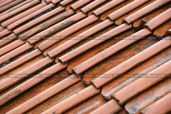 Италия. Рим. Черепичная крыша. Черепица на кровле здания Italy. Rome. Tiled roof. Tiles on the roof of the building Italy. (2013 год). Стоковое фото, фотограф Алексей Смышляев / Фотобанк Лори