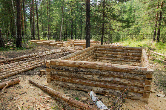 Изготовление срубов на делянке. Production of log cabins on the forest plot. Стоковое фото, фотограф Евгений Романов / Фотобанк Лори