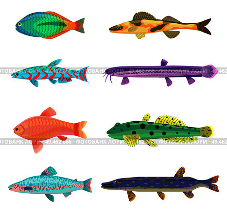 Jack Dempsey and cichlid fish set. Marine and ocean dwellers with spots on body, gills and vents. Limbless animals isolated on vector illustration. Jack Dempsey and Cichlid Set Vector Illustration. Стоковая иллюстрация, агентство Ingram Publishing / Фотобанк Лори