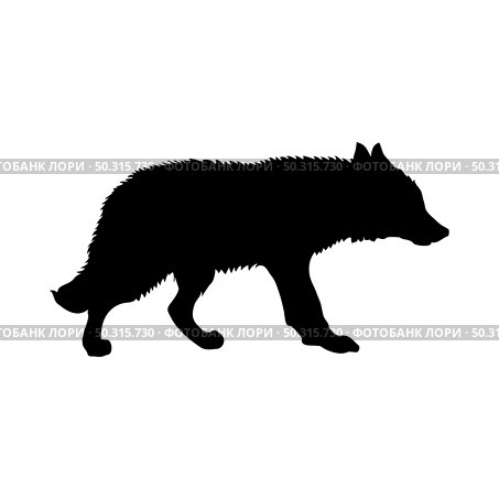 Jackal silhouette. Smooth and clean lines. High detailed Jackal silhouette. Vector Illustration.. wolves and martens silhouettes set. Стоковая иллюстрация, агентство Ingram Publishing / Фотобанк Лори