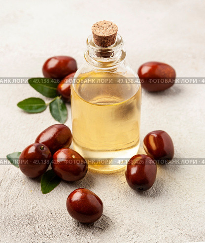 Jojoba oil in bottle with ripe jojoba fruits. Стоковое фото, фотограф Волошина Мария Ивановна / Фотобанк Лори