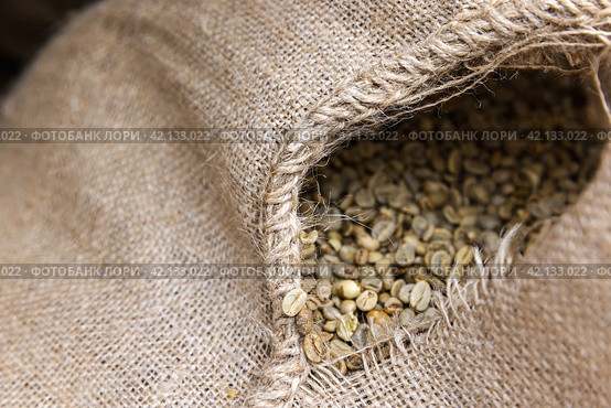 Jute bag with a hole is full of green coffee seeds, close up photo. Стоковое фото, фотограф EugeneSergeev / Фотобанк Лори