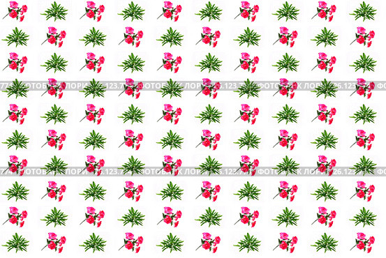 Kalanchoe Laciniata kewensis and red artificial flowers. Decorative seamless background. Стоковое фото, фотограф Михаил Яковлев (ktynzq) / Фотобанк Лори