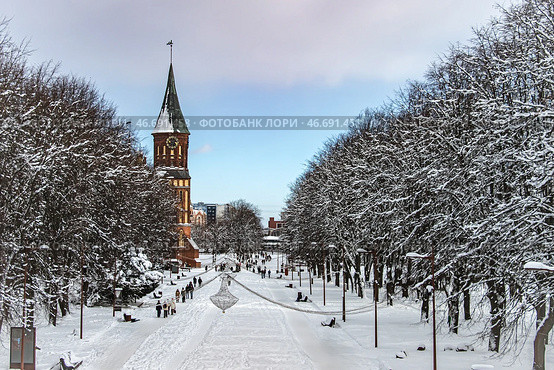 Kaliningrad, Kaliningrad Region Russia, February 16, 2025 Cathedral on the island of Kant in winter. Редакционное фото, фотограф Наталья Симакова / Фотобанк Лори