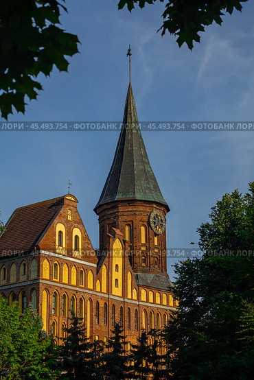 Kaliningrad, Kaliningrad Region Russia, July 13, 2023 Cathedral on the island of Kant summer view. Редакционное фото, фотограф Наталья Симакова / Фотобанк Лори