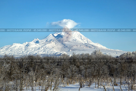 Камчатка. Вулкан Шивелуч.(3307) Стоковое фото, фотограф Геннадий Теплицкий / Фотобанк Лори
