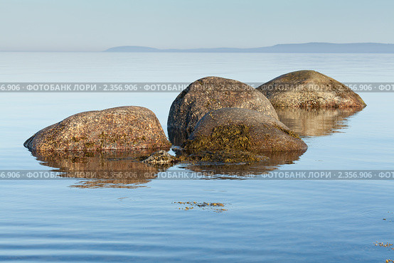 Камни Белого моря. Стоковое фото, фотограф Михаил Иванов / Фотобанк Лори