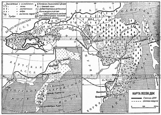 Карта лесов. Дальний Восток. Географическая карта. Стоковая иллюстрация, иллюстратор Макаров Алексей / Фотобанк Лори