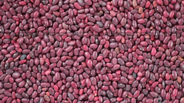 Kidney beans spinning background. Dry red bean wallpaper. Texture. Frame with copy space. Lots of Beans rotating on turntable. Close up. Diet, vegetarianism. Healthy Food. Legume grains. 4k real time. Стоковое видео, видеограф Марина Демидюк / Фотобанк Лори