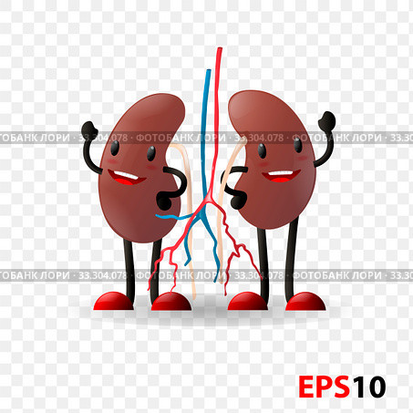 Kidneys. Human internal organ characters. Стоковая иллюстрация, иллюстратор Альдана Прокофьева / Фотобанк Лори