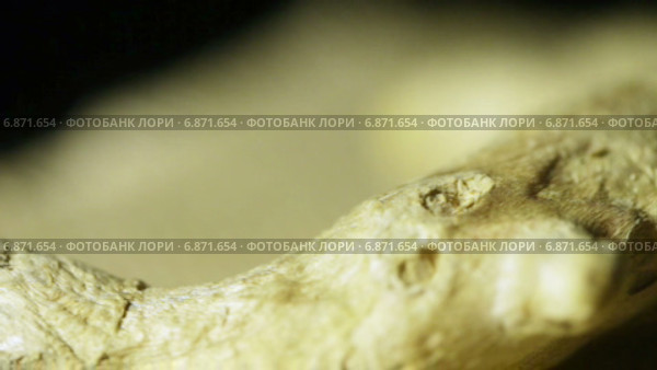 Корень имбиря. Стоковое видео, видеограф Потийко Сергей / Фотобанк Лори