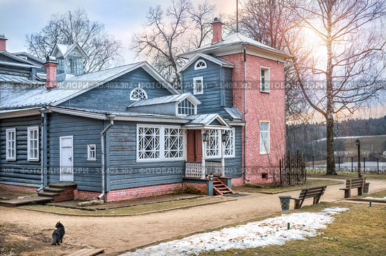 Кошки у дома в Муранове. Two cats at the Main House in Muranovo (2020 год). Редакционное фото, фотограф Baturina Yuliya / Фотобанк Лори